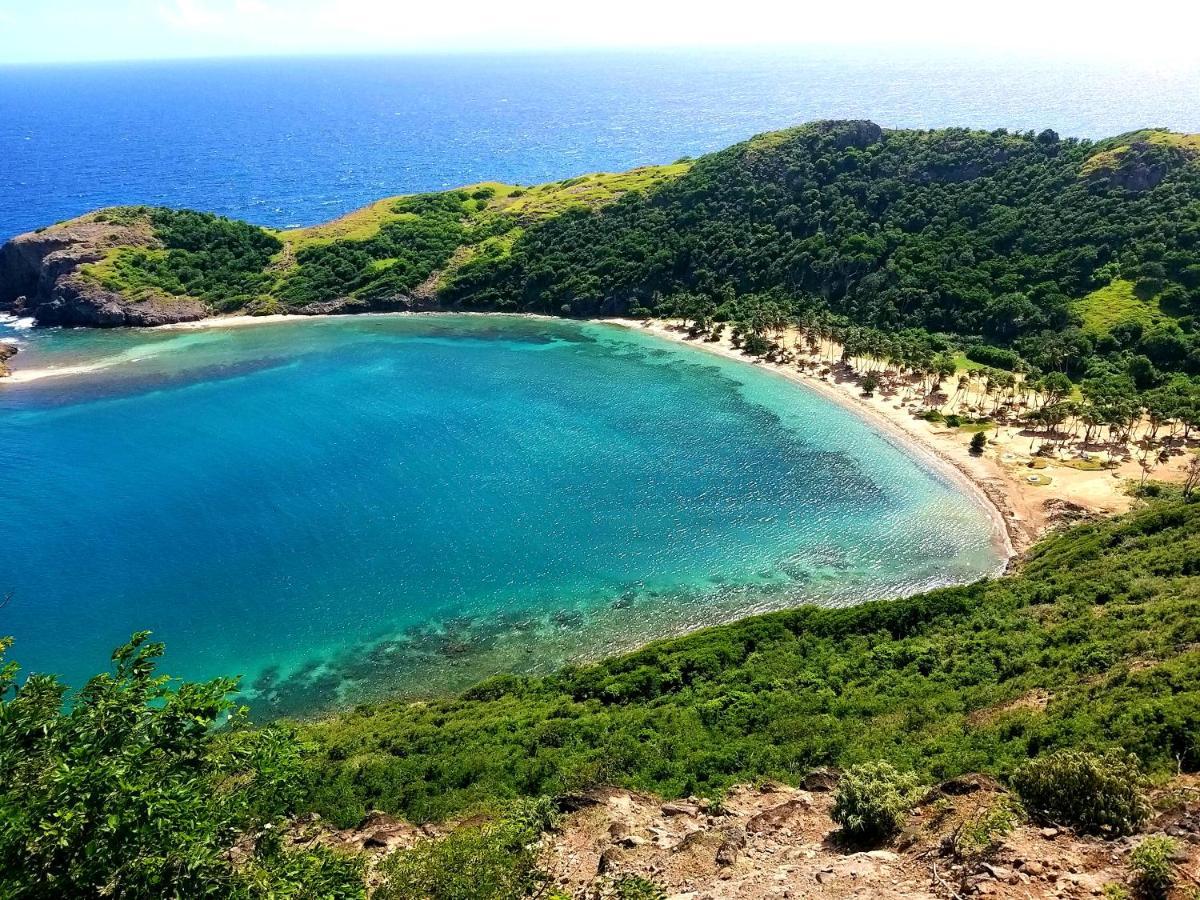 Studio 1 - Grande Anse - 4 Pers - Proche Bourg テール・ド・オー エクステリア 写真