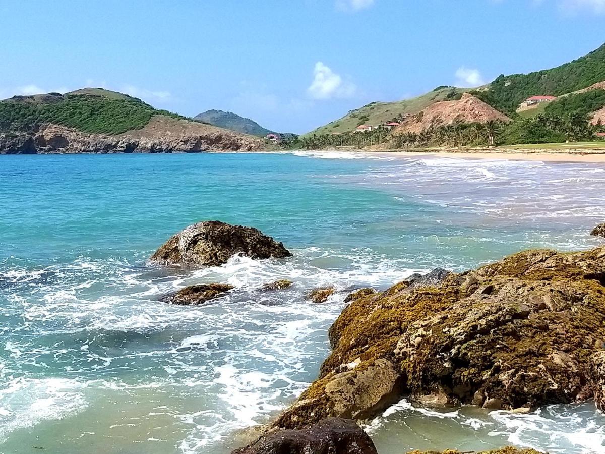 Studio 1 - Grande Anse - 4 Pers - Proche Bourg テール・ド・オー エクステリア 写真