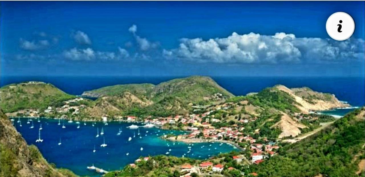 Studio 1 - Grande Anse - 4 Pers - Proche Bourg テール・ド・オー エクステリア 写真