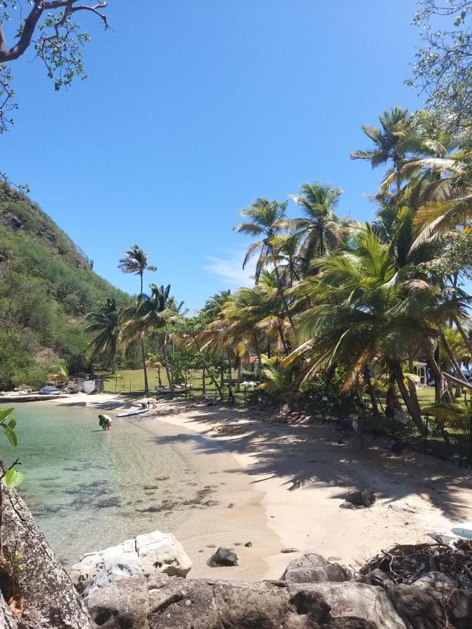 Studio 1 - Grande Anse - 4 Pers - Proche Bourg テール・ド・オー エクステリア 写真
