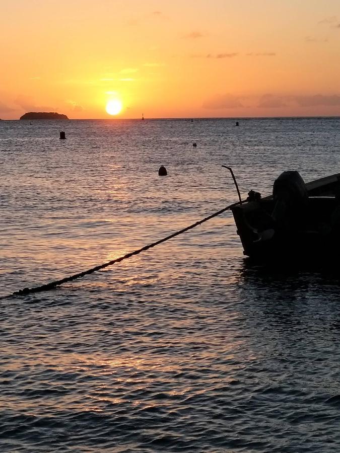 Studio 1 - Grande Anse - 4 Pers - Proche Bourg テール・ド・オー エクステリア 写真
